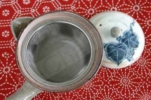 ceramic japanese teapot