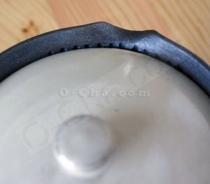 teapot lid