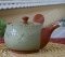 Teapot for Deep Steamed Green Tea