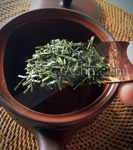 teaspoon for green tea